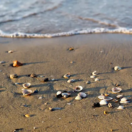 In 37969 Bibione